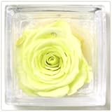 花花 プリザーブドフラワー 手のひらサイズ ガラスキューブ （ バラ 一輪 ） 枯れない お花 お祝い プチギフト プレゼント 【 メッセージカード / ラッピング 無料 】( フレッシュ グリーン 