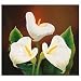 NOVICA Realist Painting - 'I See You in Each Flower'