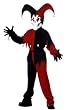 Kids Evil Jester Costume - Manufacturers Pick!