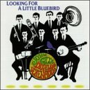 Looking for a Little Bluebird