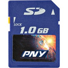 PNY Secure Digital SD Memory Card 1GB (P-SD1G-RF3)