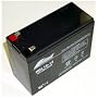 Currie 12 Volt - 10 Amp Replacement Batteries (set of 2)
