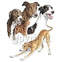 Greyhound Adult T-Shirt