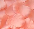 1000 Silk Rose Petals Wedding Favors - Solid Colors - Apricot