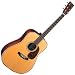 HD28V Acoustic Guitar