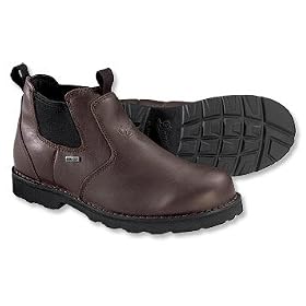 Orvis Danner Silverton GTX Shoe by Orvis