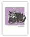 russian_blue39russian blue - Paper Russells PAGNC602 Grrreen Single Note Card Black