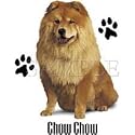 Chow Chow Adult T-Shirt