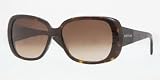 Sunglasses Anne Klein AK3169 202/78 TORTOISE LT BROWN GRADIENT 31T1EWMRf3L. SL160 Sunglasses Anne Klein AK3169 202/78 TORTOISE LT BROWN GRADIENT