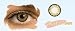 31T1EWz2wYL. SL75  Color contact lenses ? Full of fun and style