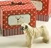 pug40  - Le Pug Soap Box