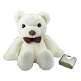 First Alert TBW-103 2.4 GHz Wireless Teddy Bear Camera
