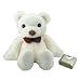 First Alert TBW-103 2.4 GHz Wireless Teddy Bear Camera