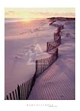 Cupsogue Beach, Art Poster by Rezendes