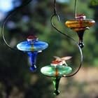 Blossom Hummingbird Feeder by