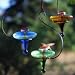 Blossom Hummingbird Feeder