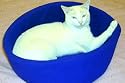 Magnetic Cat Bed