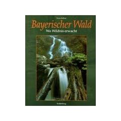 Bayerischer Wald: Wo Wildnis erwacht