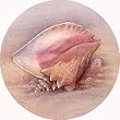Ocean Whispers - Thirstystone Sandstone Coaster Set