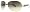 0VUQ Gold/Green Ice Black (6R Gray Gradient Lens)
