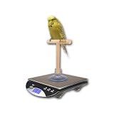 ZIEIS Digital Bird Scale | A42SS-NMTP | Wooden T Perch | Suction Cup | 1.0 Gram or 0.1 Ounce Accuracy | 2000 Gram or 70 Ounce Capacity | Stainless Steel Platform