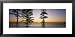 Silhouette of Trees at Dawn, Manly Beach, Sydney, New South Wales, Australia Framed Art Poster Print by Panoramic Images, 31x15