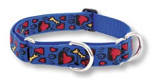 Lupine Large Martingale Style Dog Collar - Doggie Dreams 19-27