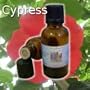Cypress 100% Pure Essential Oil - 1oz
