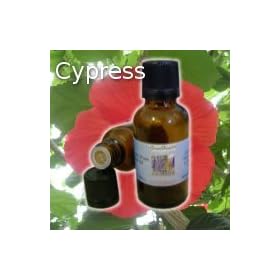 Cypress 100% Pure Essential Oil - 1oz