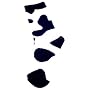 Cow Print Socks