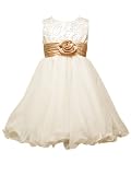 Rare Editions Girls 2-6X Tulle Wire Hem Dress, Ivory/Gold, 6X