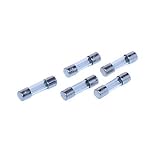 Fuses, 2 Amp (5)