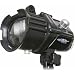 Fantasea 61178 Remora Flash with 4 Pre-Flash Settings
