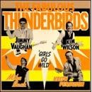 The Fabulous Thunderbirds