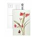 Hippeastrum 'Pamela', 1999 (w/c on paper) by Margaret Ann Eden - Postcard (Pack of 8) - 6x4 inch - Art247 Highest Quality - Standard Size - Pack Of 8
