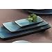 Japanese Style Rectangle Plates - 8-1/2