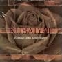 Rubaiyat: Elektra's 40th Anniversary