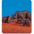Kodiak Bears
