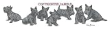 Scottish Terrier - Puppies in a Row by Cindy Farmer