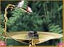 Winged Aquatics DOPV-037 Dripper on Pedestal with Brass Vine