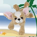 Chihuahua Webkinz