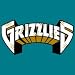 Grizzlies Revers NBA Rep Jerseys-Adt XXL (EA)