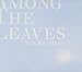 Among The Leaves