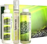 Korres Mint Tea Get Away Set 3 Piece Set