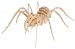 3D-Wood-JR-Tarantula-Puzzle