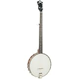 Recording King RK-O25-BR Madison Open Back Banjo