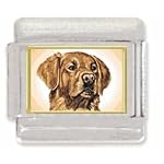 italian retriever charm