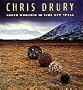 Chris Drury