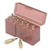 12-Piece Solid Brass Jag Set