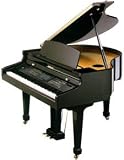 Kohler Digital KD160 Ebony High Polish
